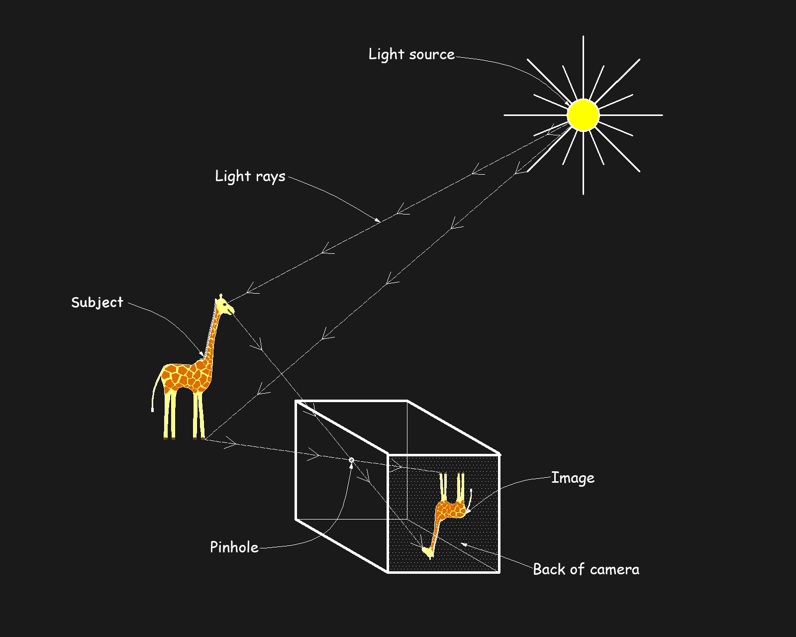 Camera diagram-19