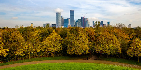 Russia Dock Woodland