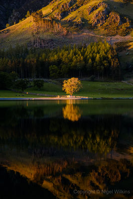 Buttermere