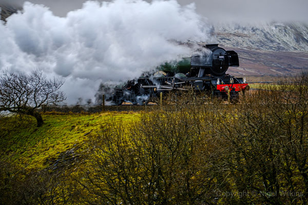 Flying Scotsman