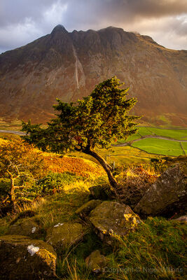 Langdale Pikes