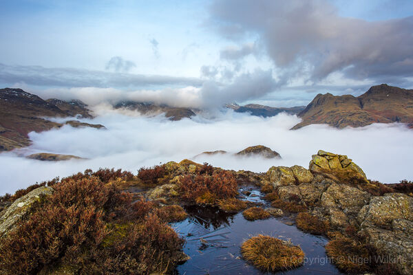 Langdale Inversion