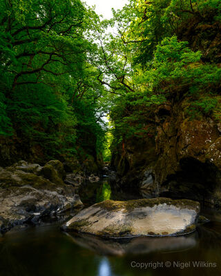 The Fairy Glen