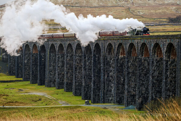 Flying Scotsman