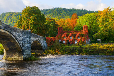 Tu Hwnt I'r Bont Tearooms