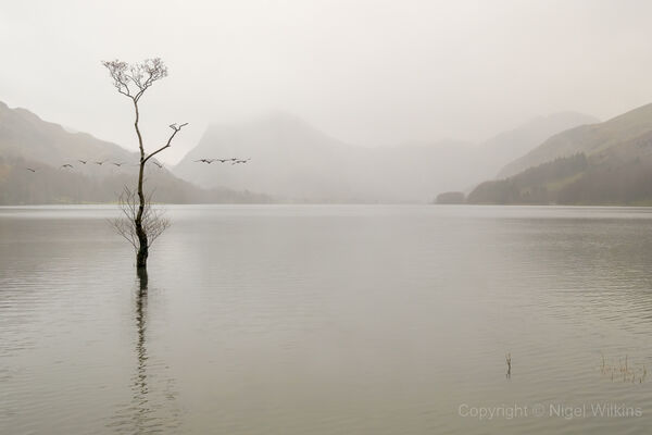 Buttermere
