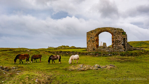 Ynys Llanddwyn