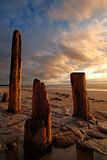 Old Posts