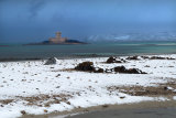 Rocco, Sand and Snow