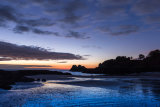 Archirondel Dawn