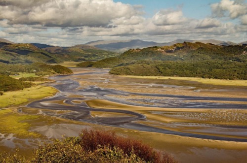 Mawddach Estuary