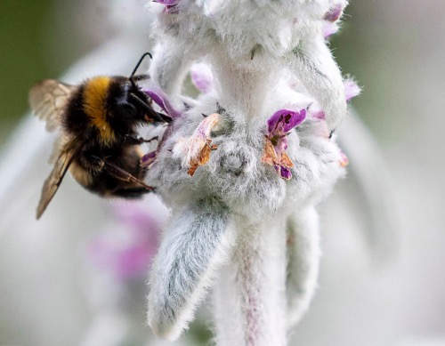 DPI Highly commended: On the Job by Malcolm Shore