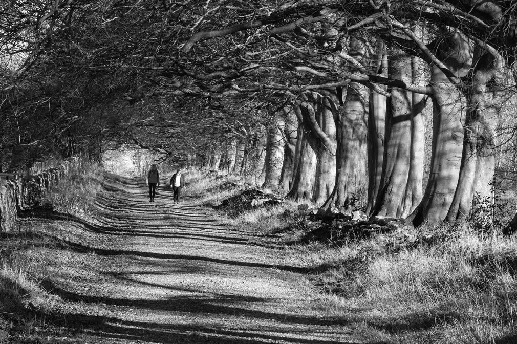 3rd Roger Harvey WINTERS WALK 1
