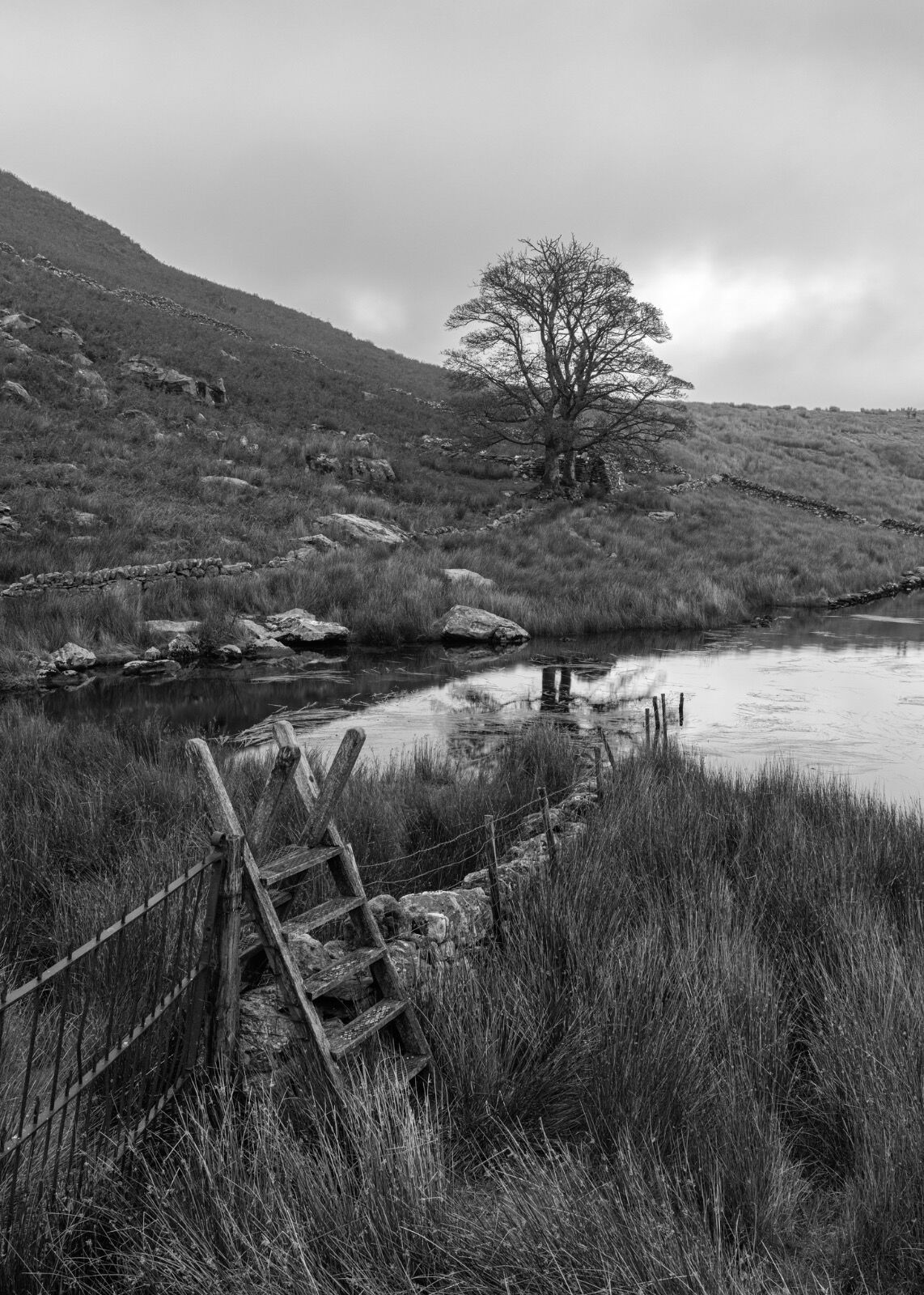 Mono Print 3rd Jane Haycocks Which Way Next