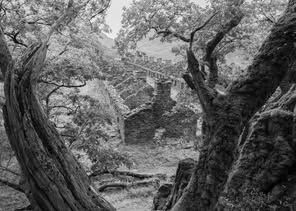 HC Where Quarry Workers Once Lived - Jane Haycocks