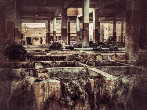 H/C Adrian Wyatt Tannery You cant photograph the smell 1