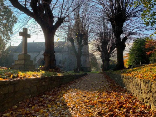 DPI1st: Autumn Vibes