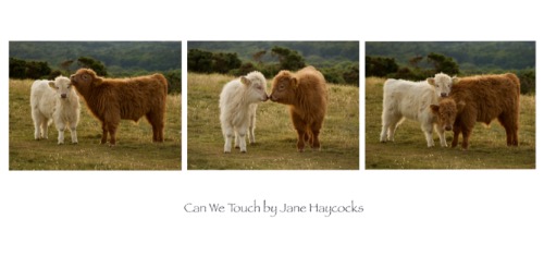 Can We Touch