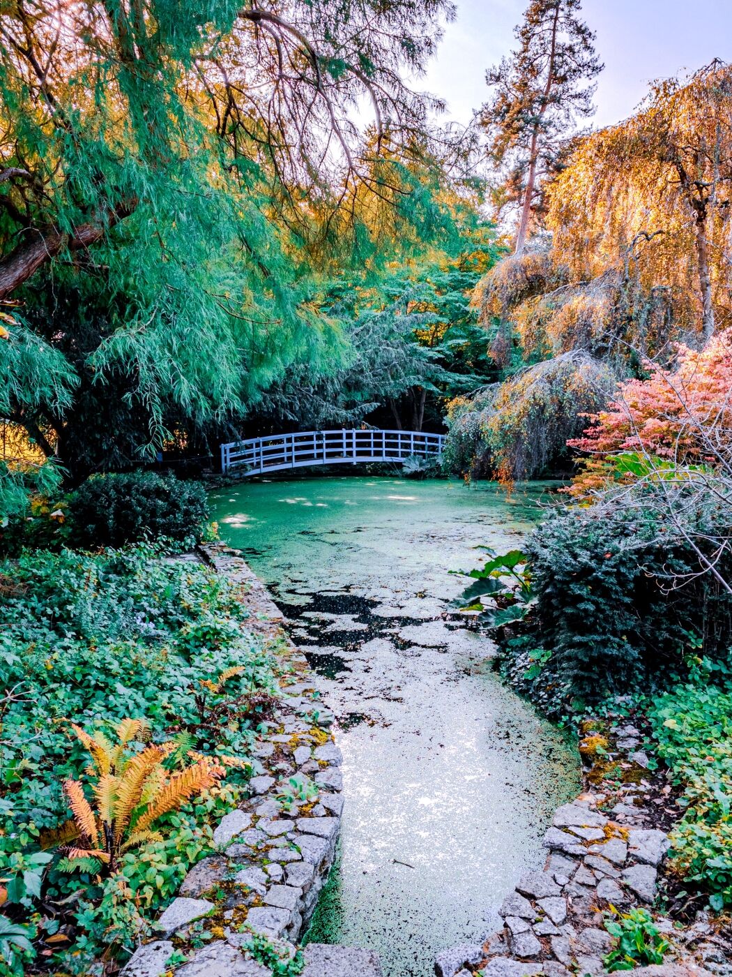 Christopher Harris Courts Garden 1