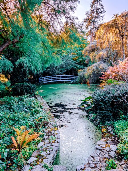 Christopher Harris Courts Garden 1