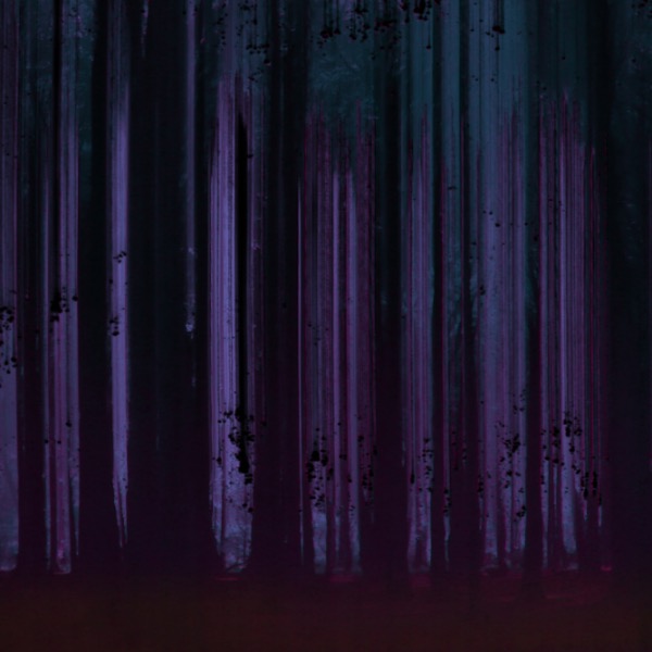 Commended:Creepy Forest by Rod Hollister