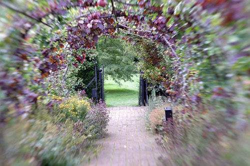 Highly Commended:The Entrance by Linda Harvey