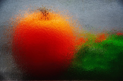Commended Colour: Sunny Pumpkin by Judith Haines