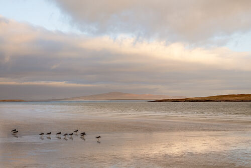 Hebridean Beach