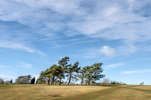 Golf-Course