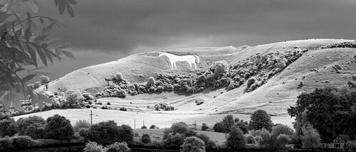 The White Horse in a different light Cropped advice by judge. jpg copy