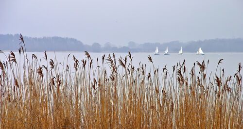 Colour 3rd Sailing boats by James Mann