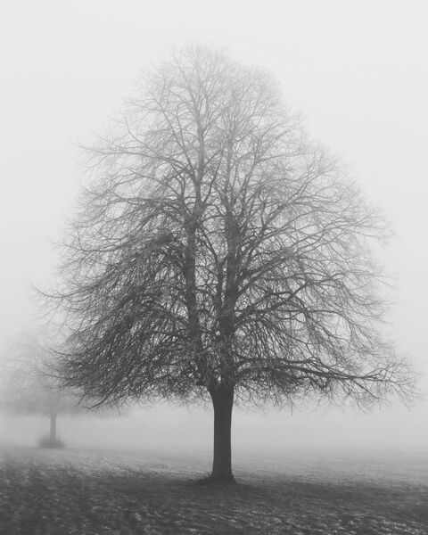 Beauty in the Gloom