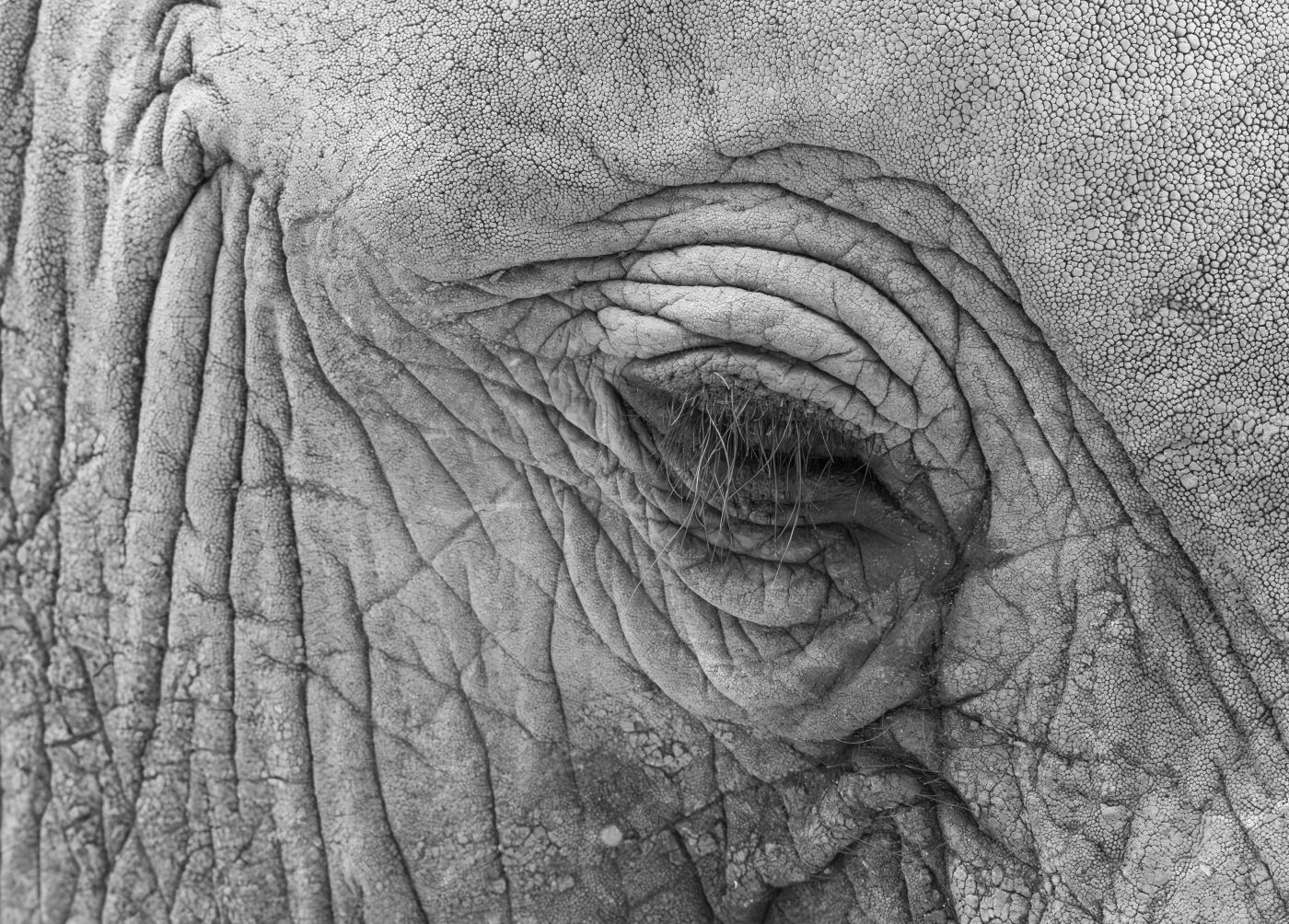 Jane Haycocks Etched by Nature 1