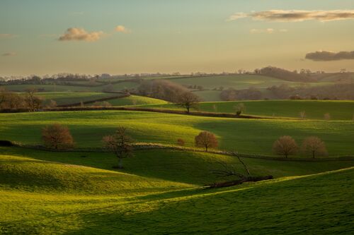 Colour Print 3rd: Light on the Landscape