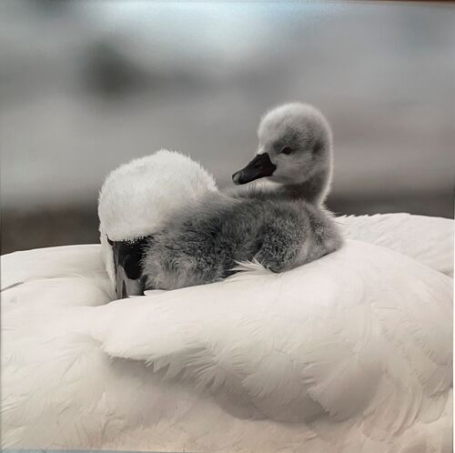 Jane Haycocks Me and my Mum! 1