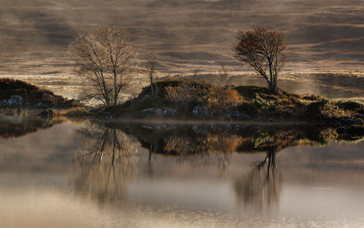 H/C Jane Haycocks Tranquility 1