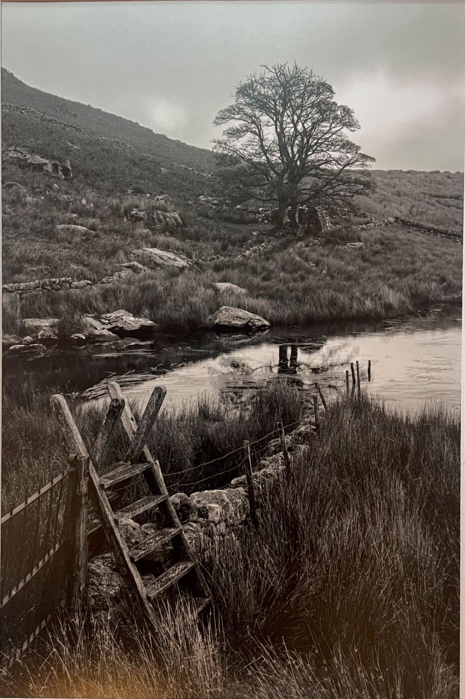 Jane Haycocks Which way next 1