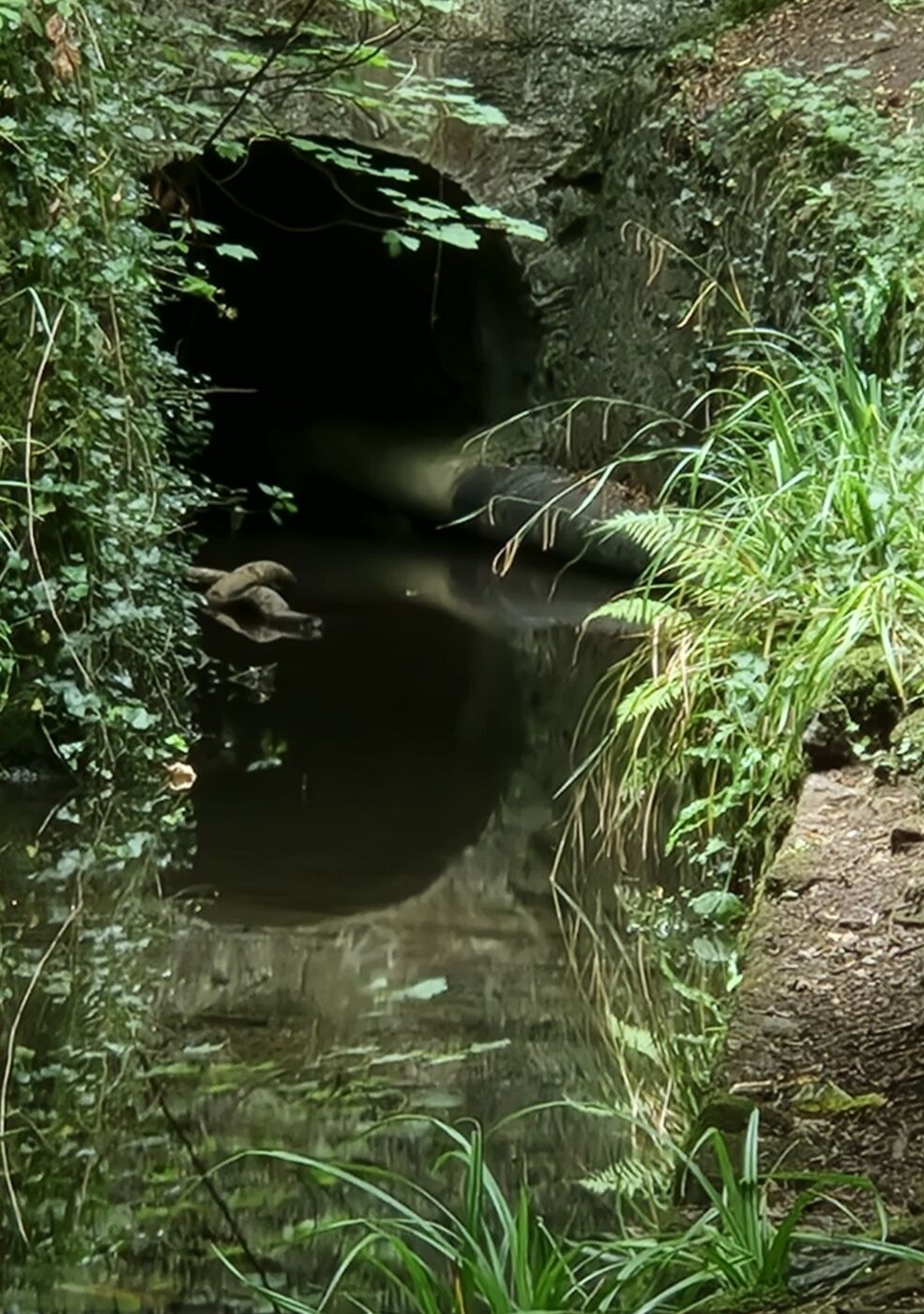 Beyond Here There be Dragons 1