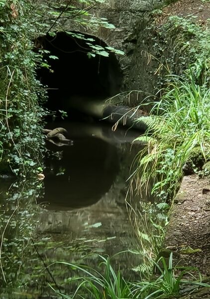 Beyond Here There be Dragons 1