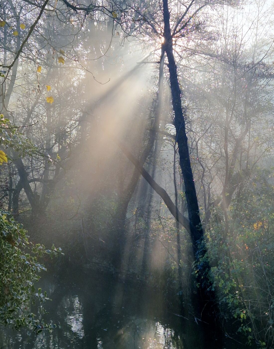 Joe Tymkow Mist Dapps Hill 1