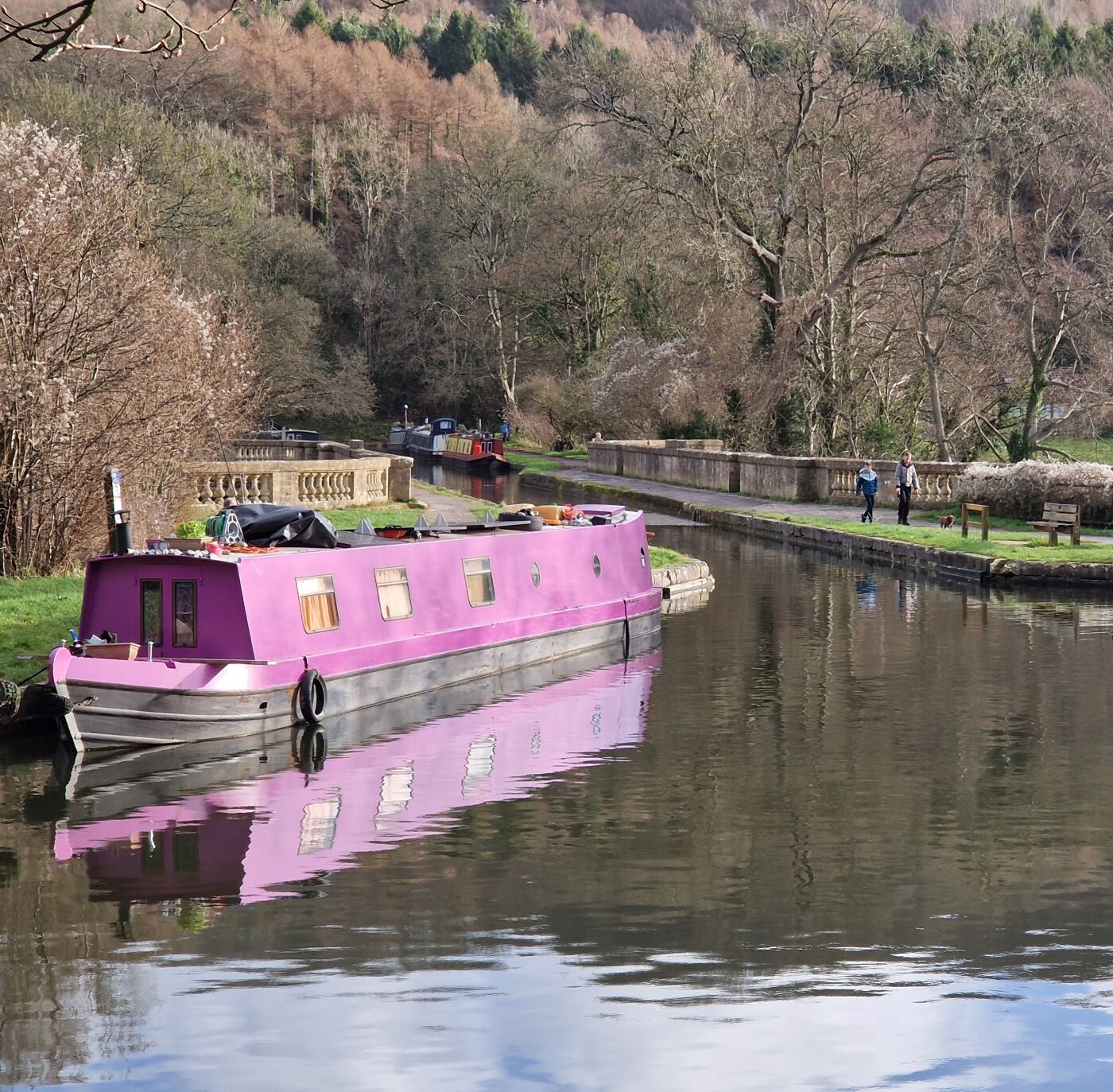 Joe Tymkow Pink 1
