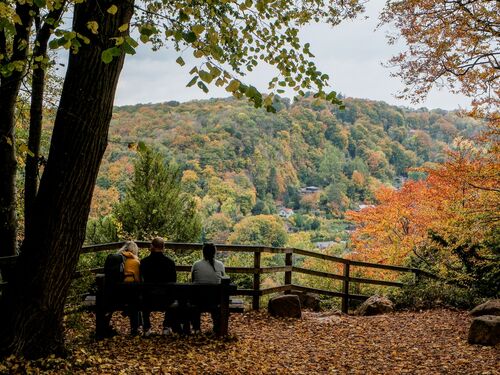 Karen Dyer Enjoying the view 1