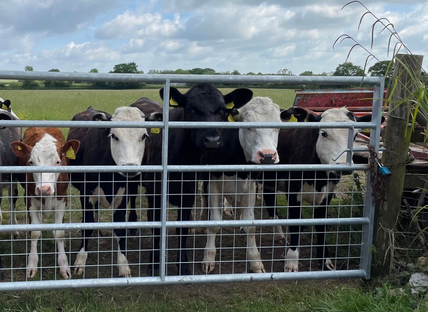 Les Benson Five to the Bar 1