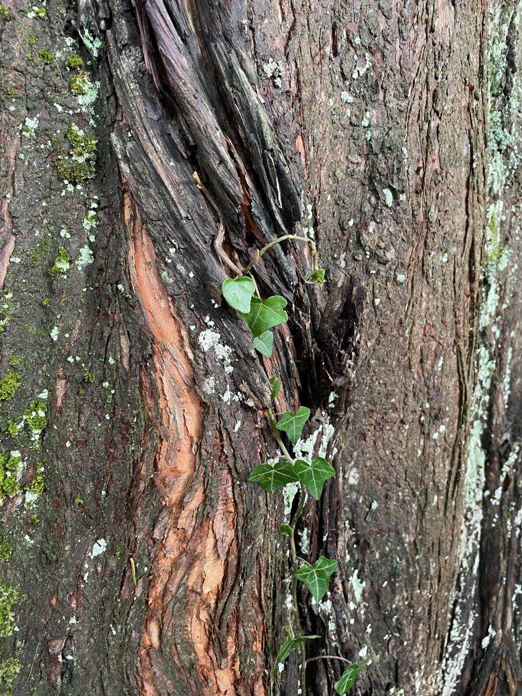 Signs of a Takeover 1