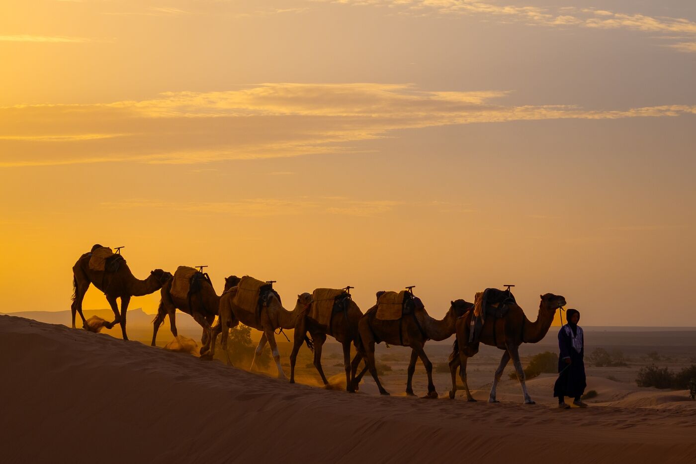 HC Paolach Chivata The desert caravan 1