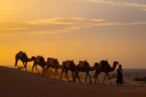 HC Paolach Chivata The desert caravan 1