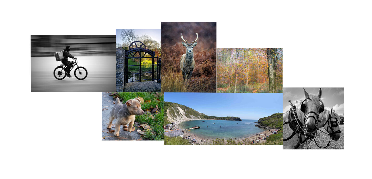 Programme Header Image