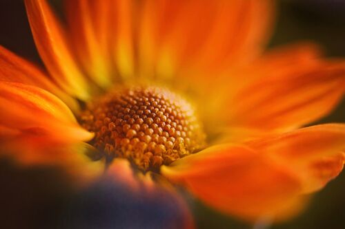 By window light