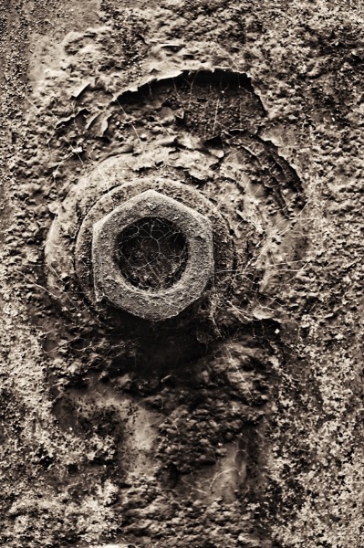 Mono Print H/C: Rust and Textures