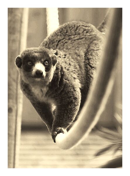 Rakesh Nar Wildlife